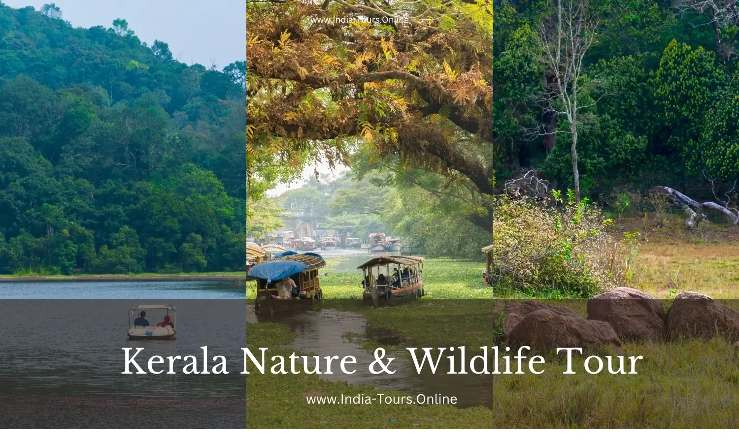 Kerala Nature & Wildlife Tour