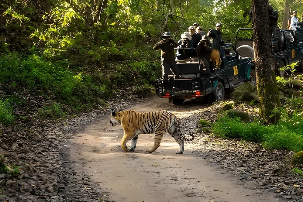 Best Wildlife Destinations in India