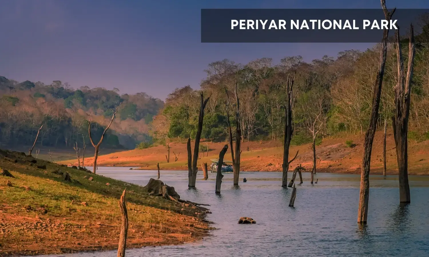 Periyar National Park-Popular Wildlife Destinations in India