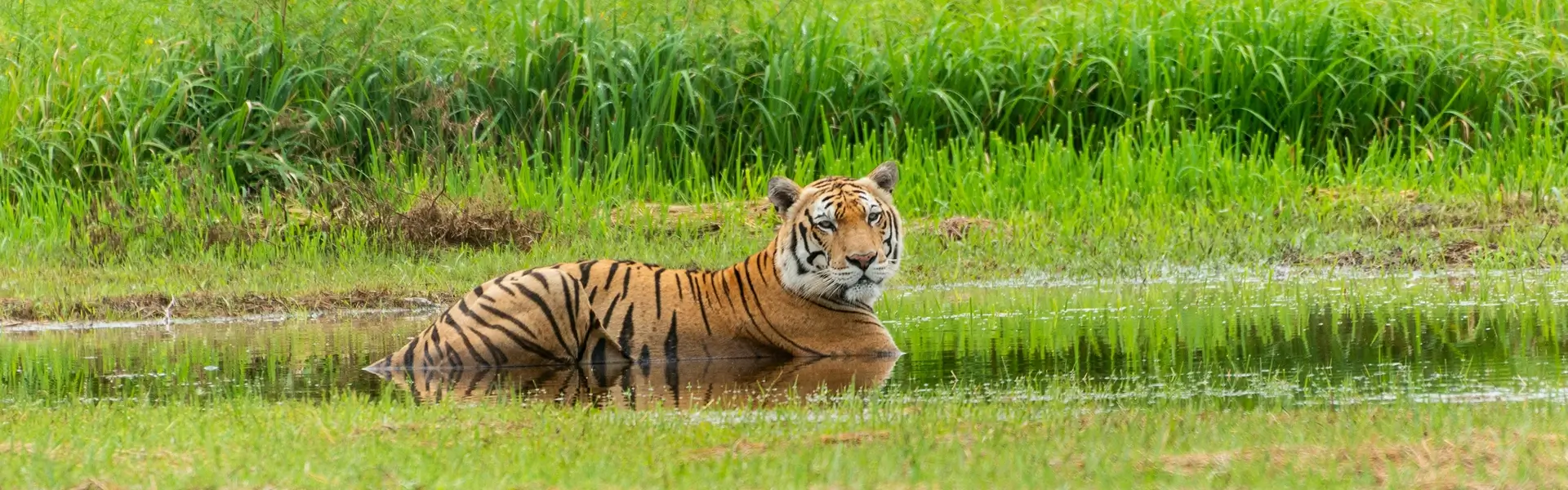 Central India Holidays