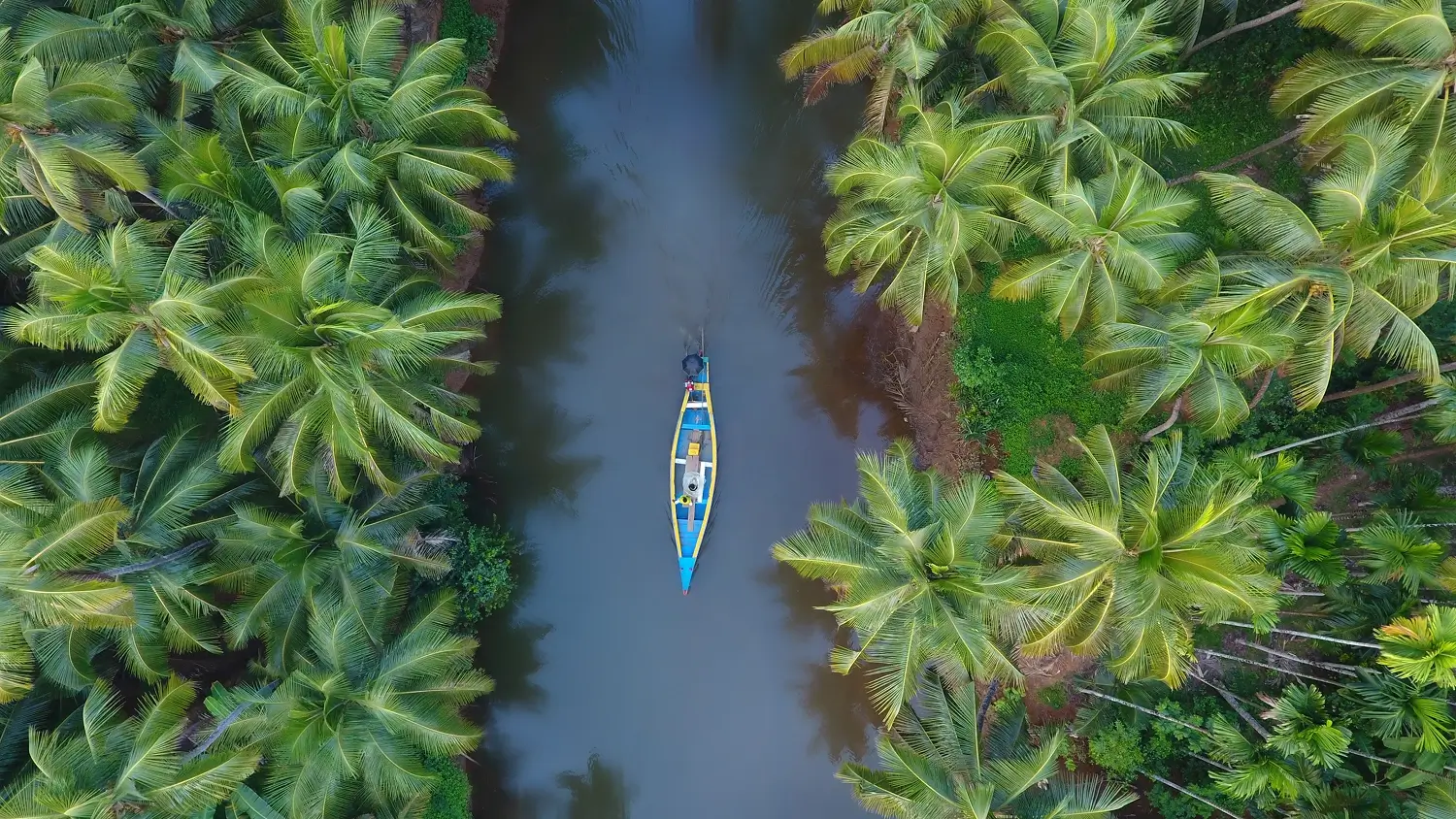 houseboat - Kerala, India